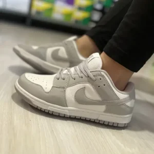 Nike Dunk Low Sb Cinza