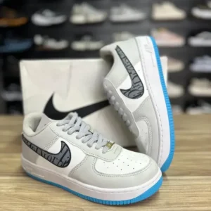 Nike Air Force Dior