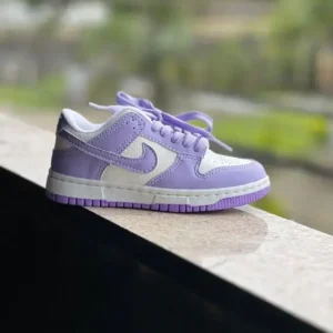 Nike Dunk Lilas Infantil
