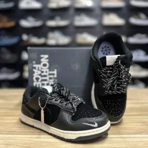 Nike Dunk The North Face